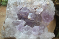 Natural Jacaranda Amethyst Cluster x 1 From Mumbwa, Zambia - TopRock