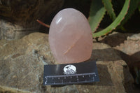 Polished Pink Rose Quartz Standing Free Forms x 3 From Antsirabe, Madagascar