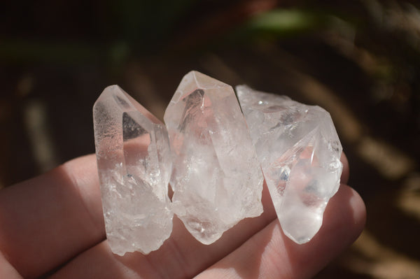 Natural Single Clear Quartz Crystals  x 70 From Zambia - TopRock