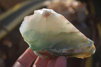 Natural Rough Green Jade Cobbed Specimens x 12 From Swaziland