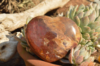 Polished Petrified Red Podocarpus Wood Hearts  x 2 From Mahajanga, Madagascar - TopRock