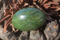 Polished Green Verdite Galet / Palm Stones x 12 From Zimbabwe