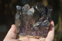 Natural Stone Sealed Amethyst Clusters  x 6 From Zambia - Toprock Gemstones and Minerals 