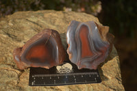 Polished River Agate Nodules  x 6 From Sashe River, Zimbabwe