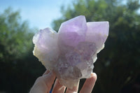 Natural Jacaranda Amethyst Clusters  x 3 From Mumbwa, Zambia - Toprock Gemstones and Minerals 