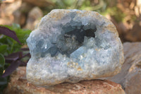 Natural Blue Celestite Geode Specimen  x 1 From Sakoany, Madagascar