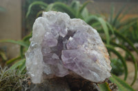 Natural Jacaranda Amethyst Cluster x 1 From Mumbwa, Zambia - TopRock