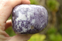 Polished Purple Lepidolite with Specular White Patterns Free Forms x 3 From Zimbabwe - TopRock