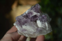 Natural Sugar Amethyst Clusters  x 6 From Solwezi, Zambia