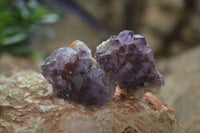 Natural Spirit Amethyst Quartz Crystals  x 24 From Boekenhouthoek, South Africa - Toprock Gemstones and Minerals 