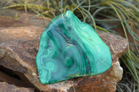 Polished Malachite Free Forms With Stunning Flower & Banding Patterns x 6 From Congo - TopRock