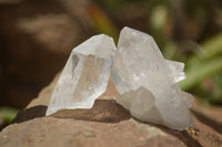 Natural Single Clear Quartz Crystals  x 70 From Zambia - TopRock