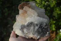 Natural Large Bladed Barite Specimen  x 1 From Congo