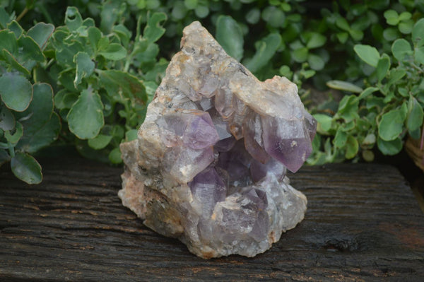 Natural Jacaranda Amethyst Cluster x 1 From Mumbwa, Zambia - TopRock