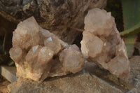 Natural Cascading Smokey Quartz Clusters x 2 From Luena, Congo