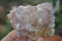 Natural Spirit Amethyst Quartz Clusters  x 6 From Boekenhouthoek, South Africa - Toprock Gemstones and Minerals 