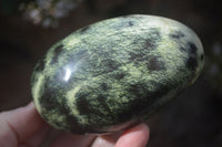 Polished Spotted Leopard Stone Free Forms  x 4 From Zimbabwe - Toprock Gemstones and Minerals 