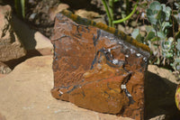 Natural Golden Blue Tigers Eye Specimens  x 2 From Prieska, South Africa - TopRock