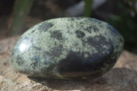 Polished Spotted Leopard Stone Free Forms  x 4 From Zimbabwe - Toprock Gemstones and Minerals 