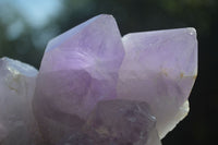 Natural Jacaranda Amethyst Clusters  x 3 From Mumbwa, Zambia - Toprock Gemstones and Minerals 