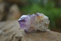 Natural Spirit Amethyst Quartz Crystals  x 24 From Boekenhouthoek, South Africa - Toprock Gemstones and Minerals 