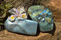 Polished Labradorite Standing Free Forms With Intense Blue Flash x 2 From Sakoany, Madagascar - TopRock