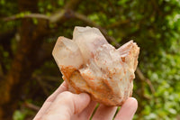 Natural Red Hematoid Phantom Quartz Specimens  x 6 From Karoi, Zimbabwe - TopRock