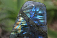 Polished Flashy Labradorite Standing Free Forms  x 3 From Tulear, Madagascar - TopRock