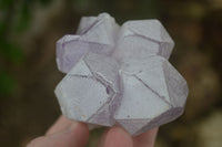 Natural Jacaranda Amethyst Clusters  x 6 From Mumbwa, Zambia - Toprock Gemstones and Minerals 