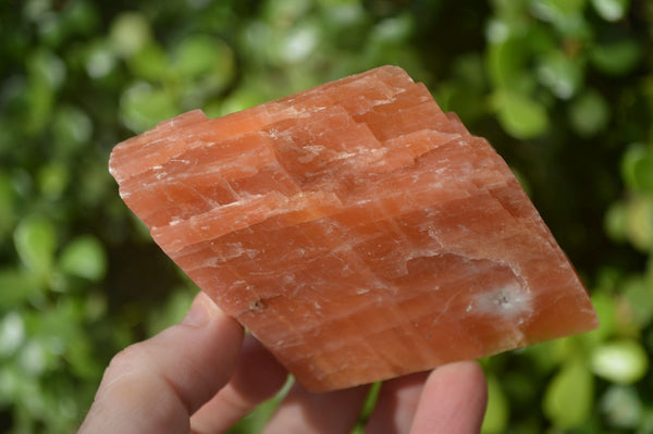 Natural New Sunset Orange Calcite Specimens  x 12 From Spitzkop, Namibia
