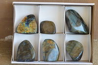 Polished Gorgeous Labradorite Standing Free Forms With Intense Full Face Flash x 6 From Tulear, Madagascar - TopRock