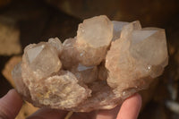 Natural Cascading Smokey Quartz Clusters x 2 From Luena, Congo