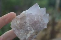 Natural Spirit Amethyst Quartz Clusters  x 6 From Boekenhouthoek, South Africa - Toprock Gemstones and Minerals 