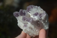 Natural Sugar Amethyst Clusters  x 6 From Solwezi, Zambia