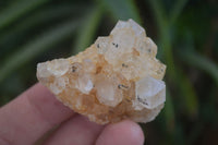 Natural Small Mixed Quartz Clusters  x 70 From Zambia - Toprock Gemstones and Minerals 