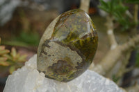 Polished Large Green Opal Standing Free Forms  x 6 From Madagascar - TopRock