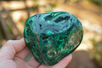 Polished Malachite Free Forms With Stunning Flower & Banding Patterns x 6 From Congo - TopRock