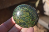 Polished Green Verdite Galet / Palm Stones x 12 From Zimbabwe