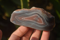 Polished River Agate Nodules  x 6 From Sashe River, Zimbabwe