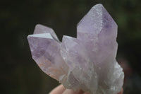 Natural Jacaranda Amethyst Clusters  x 6 From Mumbwa, Zambia - Toprock Gemstones and Minerals 