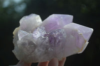 Natural Jacaranda Amethyst Clusters  x 3 From Mumbwa, Zambia - Toprock Gemstones and Minerals 