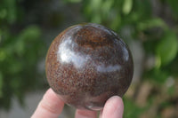 Polished Red Pyrope Garnet Spheres  x 2 From Madagascar - Toprock Gemstones and Minerals 