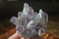 Natural Sugar Amethyst Clusters  x 6 From Solwezi, Zambia