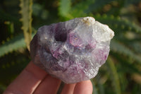 Natural Rough Watermelon Fluorite Cobbed Specimens  x 24 From Uis, Namibia