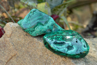 Polished Malachite Free Forms With Stunning Flower & Banding Patterns x 6 From Congo - TopRock