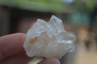 Natural Small Mixed Quartz Clusters  x 70 From Zambia - Toprock Gemstones and Minerals 