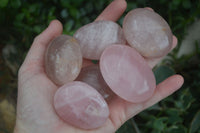 Polished Gemmy Pink Rose Quartz Palm Stones  x 35 From Ambatondrazaka, Madagascar - Toprock Gemstones and Minerals 