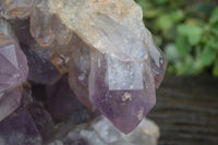 Natural Jacaranda Amethyst Cluster x 1 From Mumbwa, Zambia - TopRock