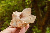 Natural Red Hematoid Phantom Quartz Specimens  x 6 From Karoi, Zimbabwe - TopRock