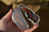 Polished River Agate Nodules  x 6 From Sashe River, Zimbabwe